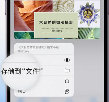 碾子山apple维修中心分享iPhone文件应用中存储和找到下载文件