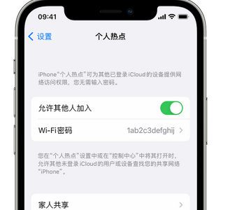 碾子山apple服务站点分享iPhone上个人热点丢失了怎么办 