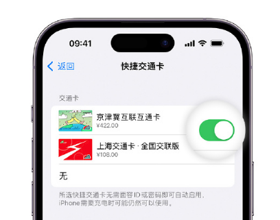 碾子山apple维修点分享iPhone上更换Apple Pay快捷交通卡手绘卡面 