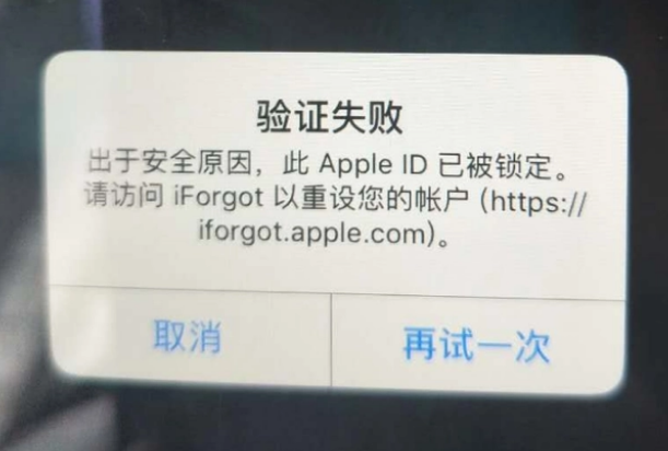 碾子山iPhone维修分享iPhone上正常登录或使用AppleID怎么办 