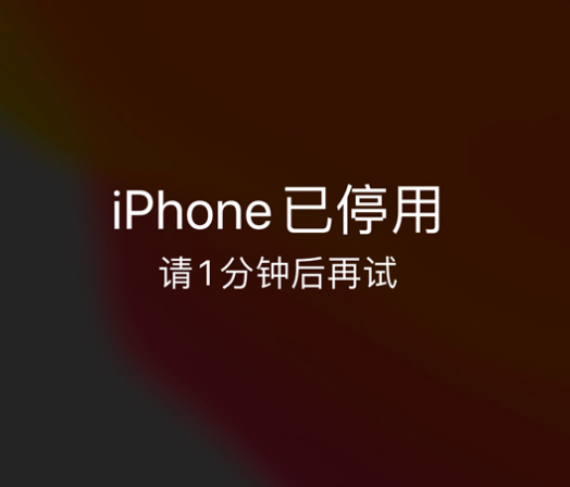 碾子山苹果手机维修分享:iPhone 显示“不可用”或“已停用”怎么办？还能保留数据吗？ 