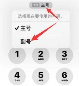 碾子山苹果14维修店分享iPhone 14 Pro Max使用副卡打电话的方法 