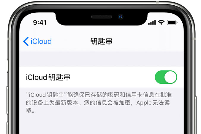 碾子山苹果手机维修分享在 iPhone 上开启 iCloud 钥匙串之后会储存哪些信息 