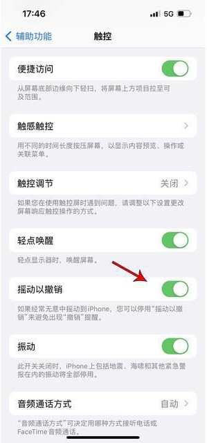 碾子山苹果手机维修分享iPhone手机如何设置摇一摇删除文字 